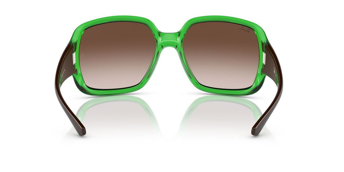 RB 4347 Ray-Ban Powderhorn Transparent Green / Brown 60 60 / Polyamide Bio / Nylon / Nylon