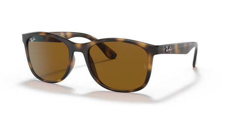 Ray-Ban  0RB4374 710/33 56 Havana/ Brown