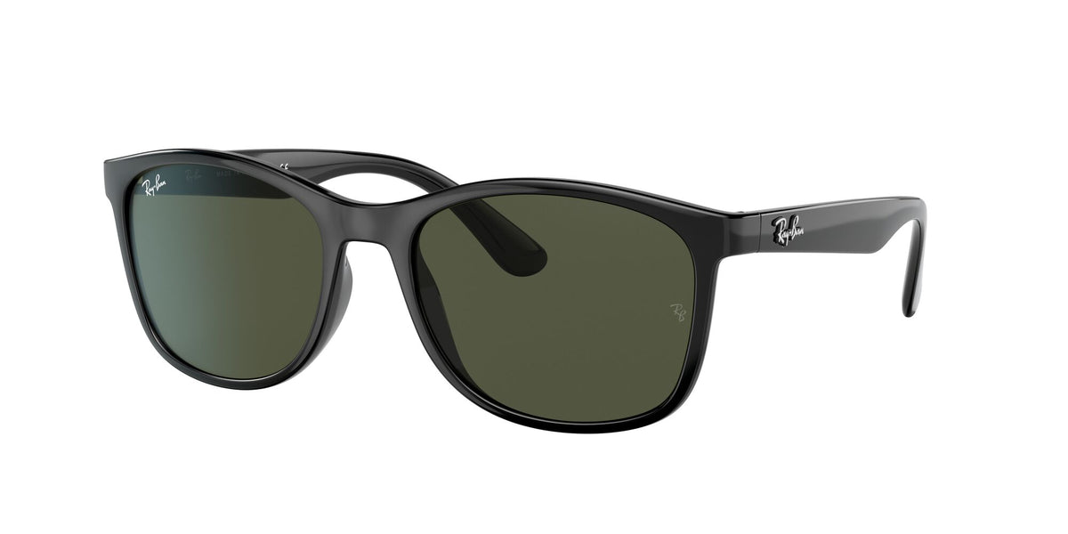 Ray-Ban0RB4374F 601/31 58 Black/ Green