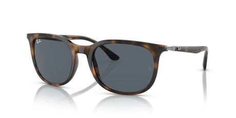 Ray-Ban  0RB4386 710/R5 54 Havana/ Blue 54 / Crystal / Injected / Metal