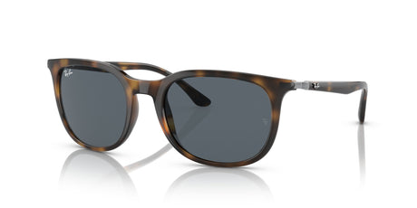 Ray-Ban  0RB4386F 710/R5 55 Havana/ Blue 55 / Crystal / Injected / Metal