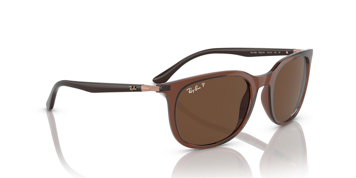 RB 4386 Ray-BanTransparent Brown / Brown 54 54 / Crystal / Injected / Metal