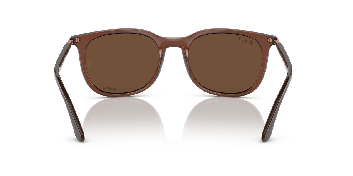 RB 4386 Ray-BanTransparent Brown / Brown 54 54 / Crystal / Injected / Metal