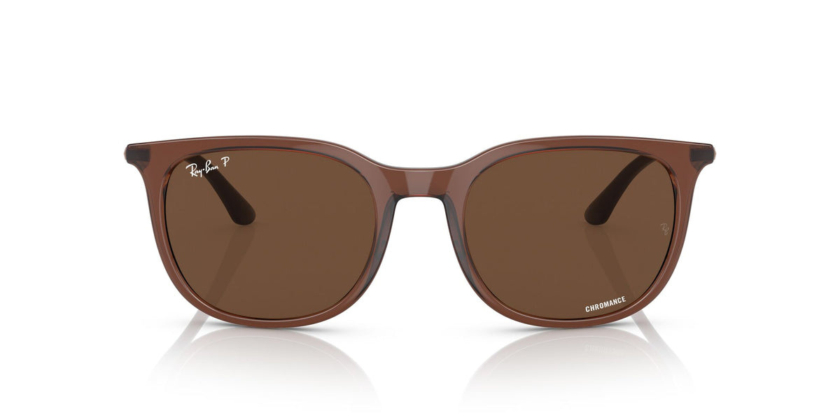 RB 4386 Ray-BanTransparent Brown / Brown 54 54 / Crystal / Injected / Metal