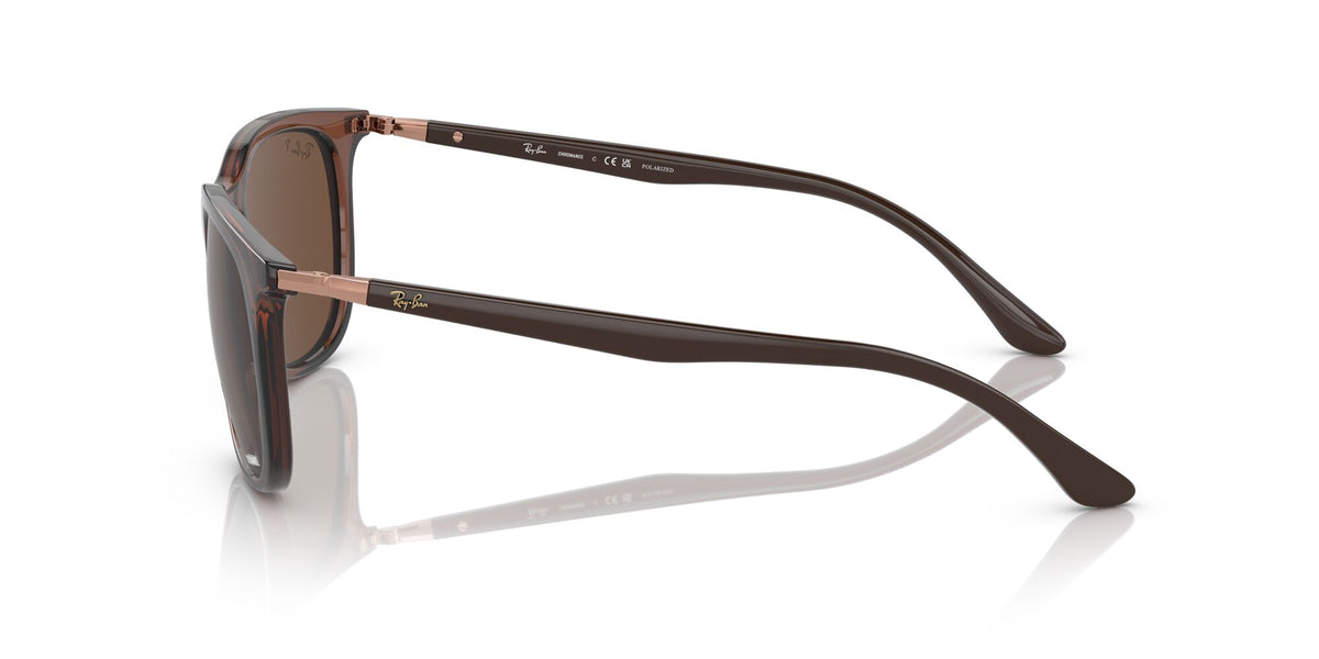 RB 4386 Ray-BanTransparent Brown / Brown 54 54 / Crystal / Injected / Metal