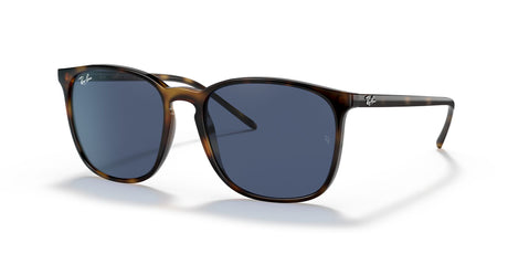 Ray-Ban  0RB4387 710/80 56 Havana/ Dark Blue 56 / Polycarbonate / Nylon / Nylon
