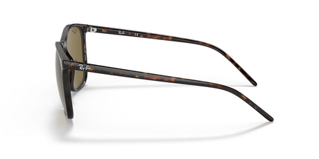 Ray-Ban  0RB4387F 902/73 55 Tortoise/ Brown Classic 55 / Polyamide / Acetate / Acetate