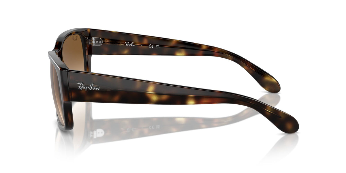 Ray-Ban0RB4388 710/51 55 Havana/ Clear & Brown