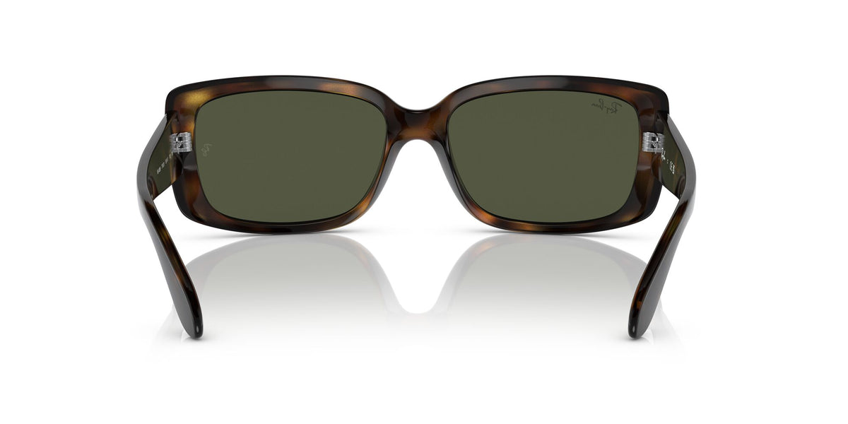 Ray-Ban0RB4389 710/31 58 Havana/ Green 58 / Crystal / Propionate / Propionate