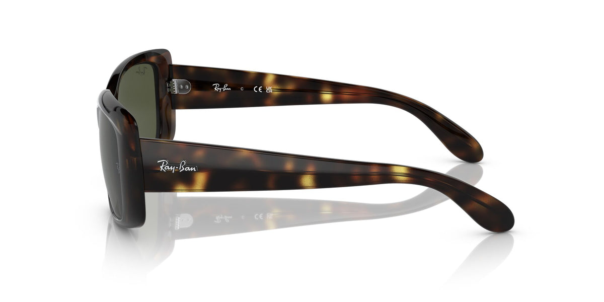 Ray-Ban0RB4389 710/31 58 Havana/ Green 58 / Crystal / Propionate / Propionate