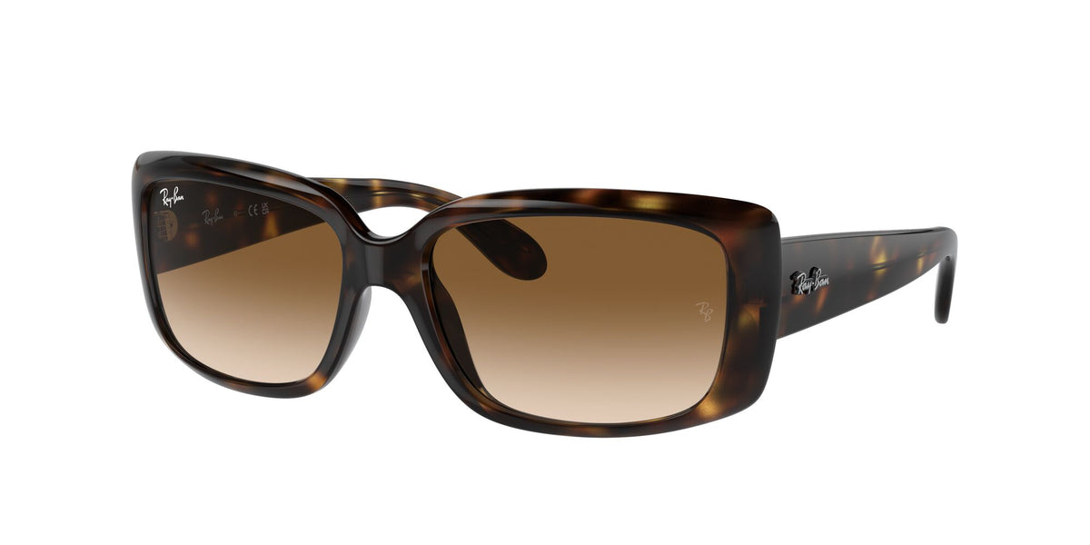 Ray-Ban0RB4389 710/51 58 Havana/ Clear Brown