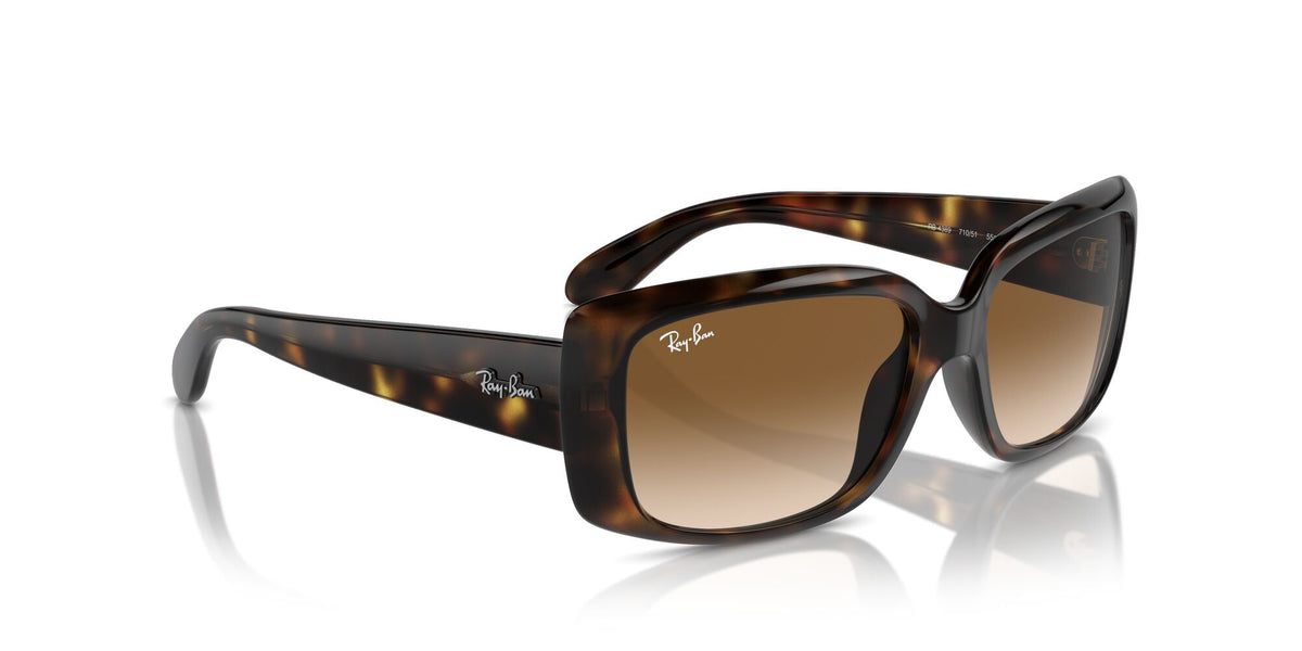 Ray-Ban0RB4389 710/51 58 Havana/ Clear Brown