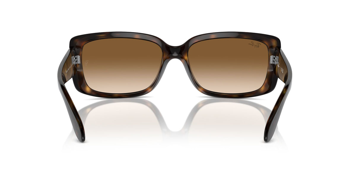Ray-Ban0RB4389 710/51 55 Havana/ Clear Brown