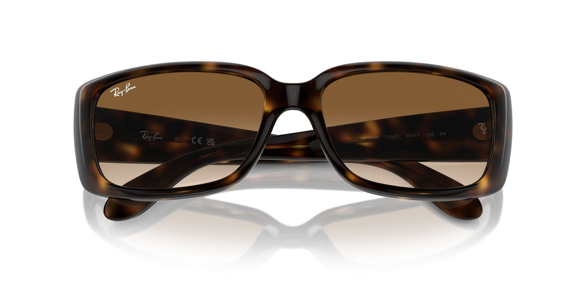 Ray-Ban0RB4389 710/51 55 Havana/ Clear Brown