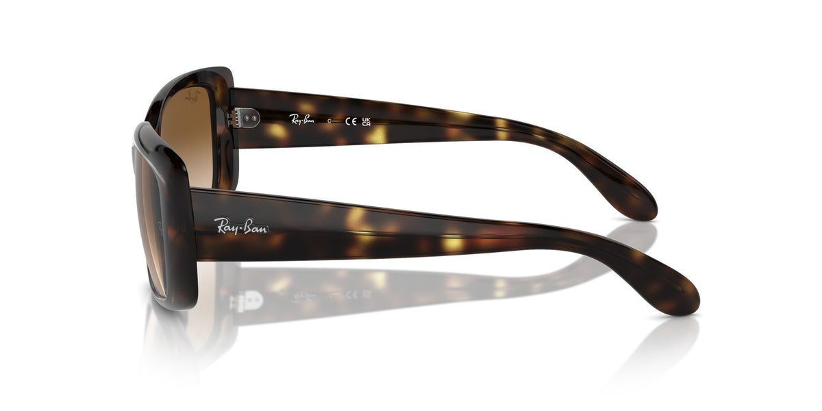 Ray-Ban0RB4389 710/51 58 Havana/ Clear Brown