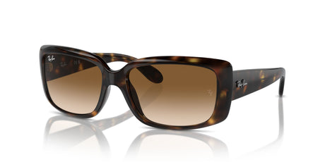Ray-Ban  0RB4389 710/51 55 Havana/ Clear Brown