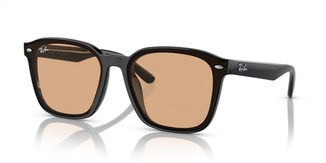 Ray-Ban  0RB4392D 601/93 66 Black/ Brown