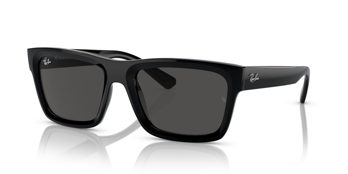 Ray-Ban Warren 0RB4396 667787 54 Black/ Dark Grey