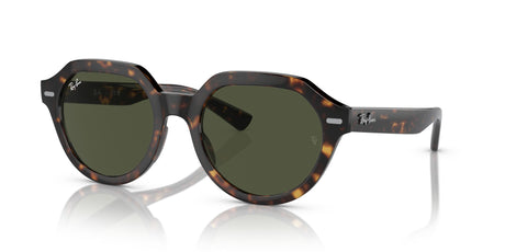 Ray-Ban Gina 0RB4399 902/31 51 Havana/ Green 51 / Crystal / Propionate / Propionate