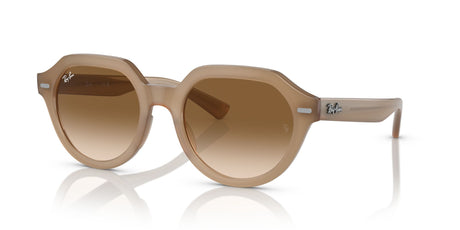 Ray-Ban Gina 0RB4399 616651 51 Turtledove/ Brown 51 / Crystal / Propionate / Propionate