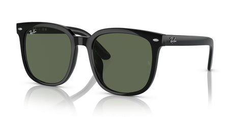 Ray-Ban  0RB4401D 601/71 57 Black/ Dark Green