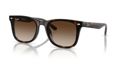 Ray-Ban  0RB4420 710/13 65 Havana/ Brown 65 / Polycarbonate / Injected / Molded
