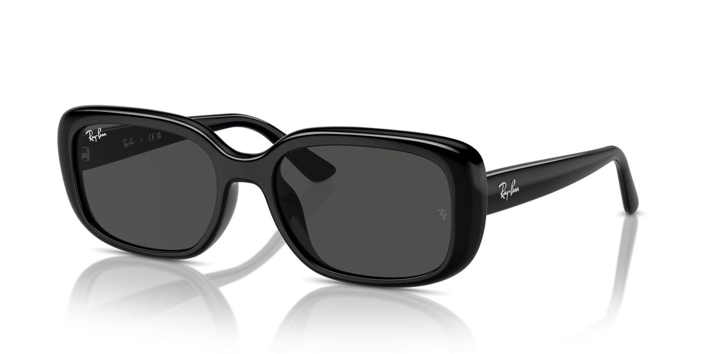 Ray-Ban  0RB4421D 667787 56 Black/ Dark Grey