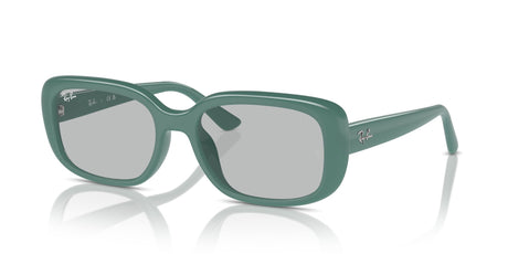 Ray-Ban  0RB4421D 676287 56 Algae Green/ Light Grey