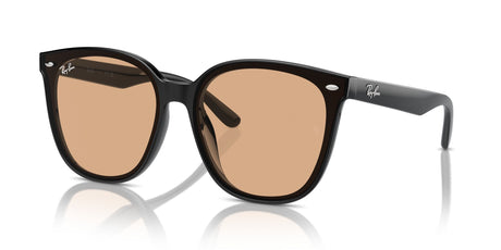Ray-Ban  0RB4423D 601/93 66 Black/ Brown