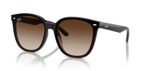 Ray-Ban  0RB4423D 714/13 66 Transparent Brown/ Brown