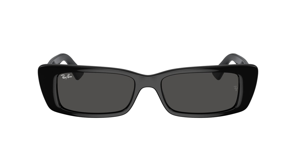 Ray-Ban Teru 0RB4425 667787 54 Black/ Dark Grey - Blue Star Eyewear
