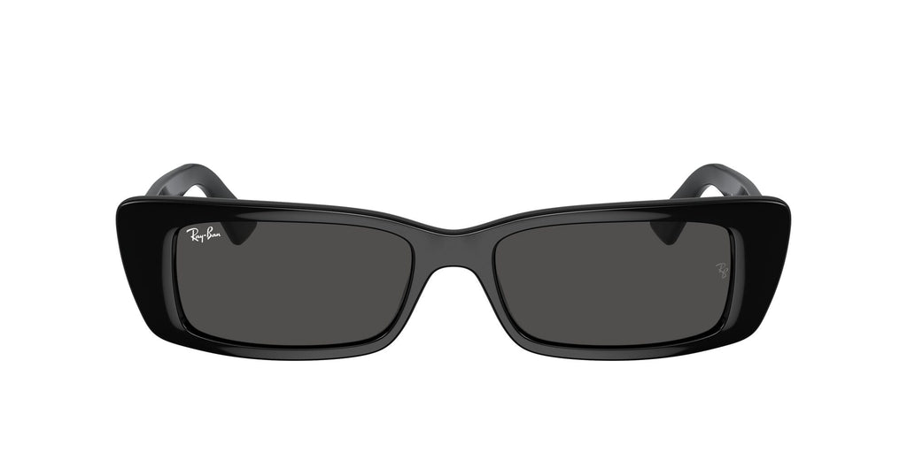 Ray-Ban Teru 0RB4425 667787 54 Black/ Dark Grey - Blue Star Eyewear