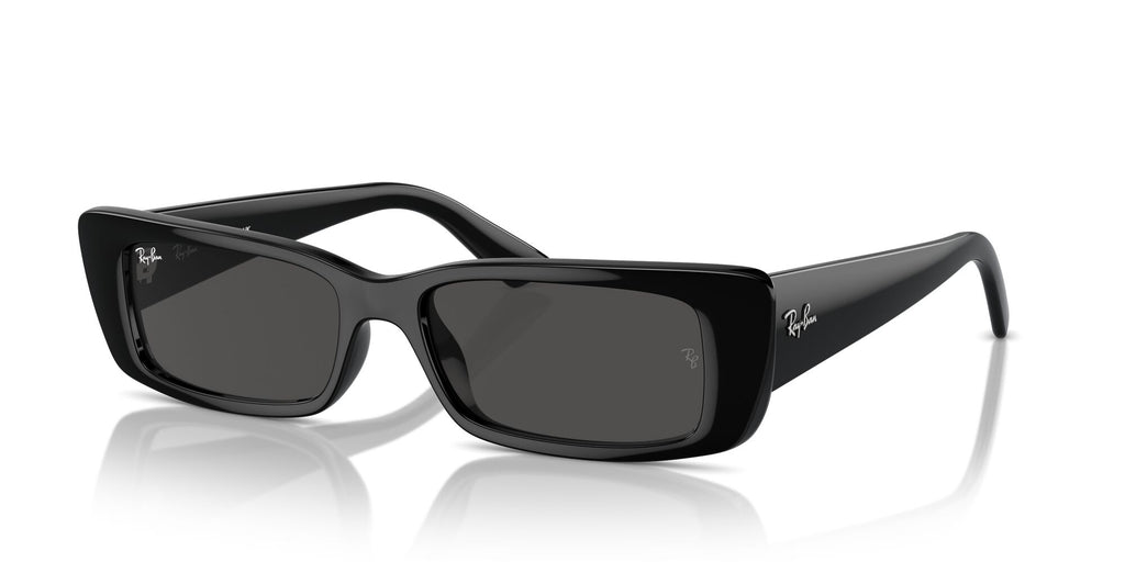 Ray-Ban Teru 0RB4425 667787 54 Black/ Dark Grey