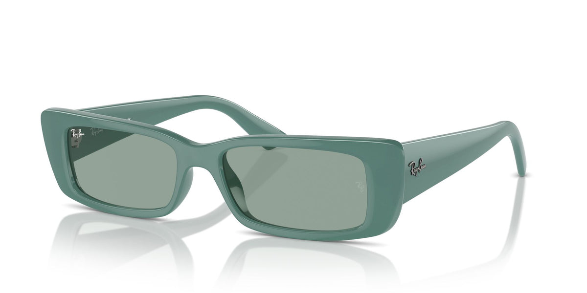 Ray-Ban Teru 0RB4425 676282 54 Algae Green/ Petrol Green