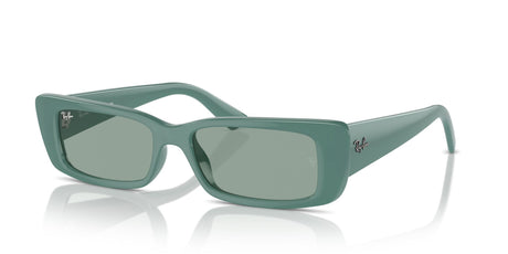 Ray-Ban Teru 0RB4425 676282 54 Algae Green/ Petrol Green