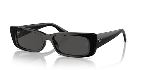 Ray-Ban Teru 0RB4425F 667787 54 Black/ Dark Grey