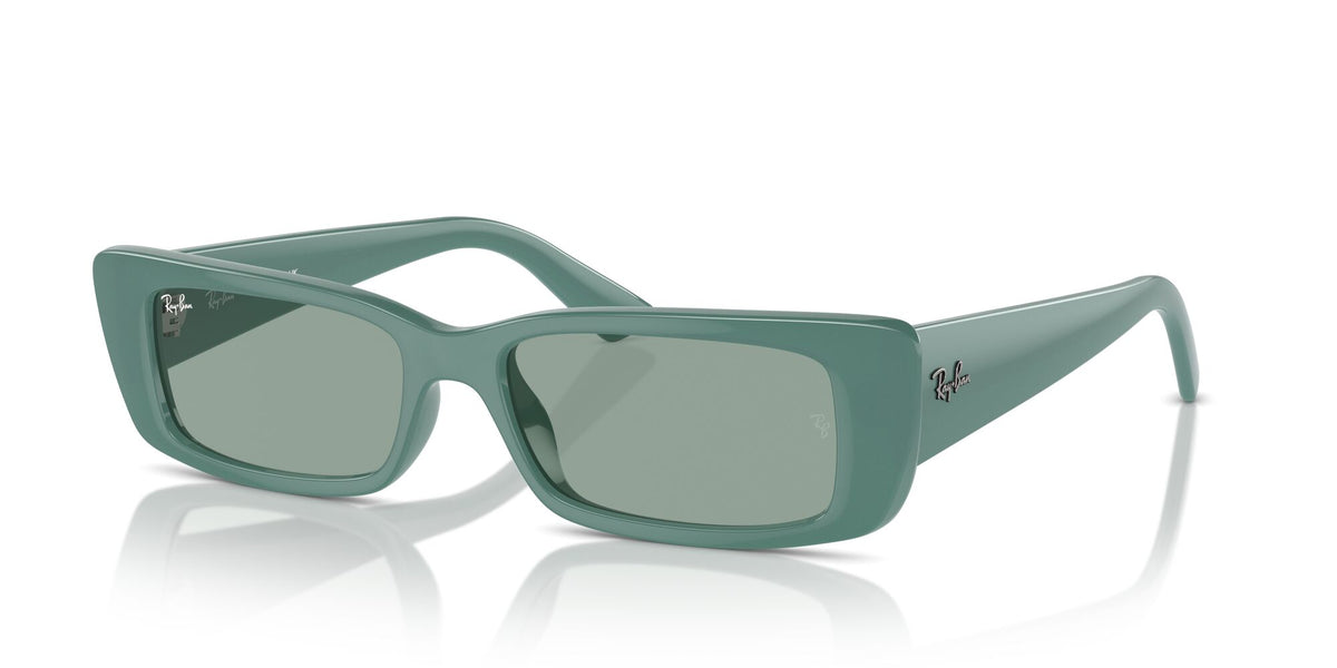 Ray-Ban Teru 0RB4425F 676282 54 Algae Green/ Petrol Green