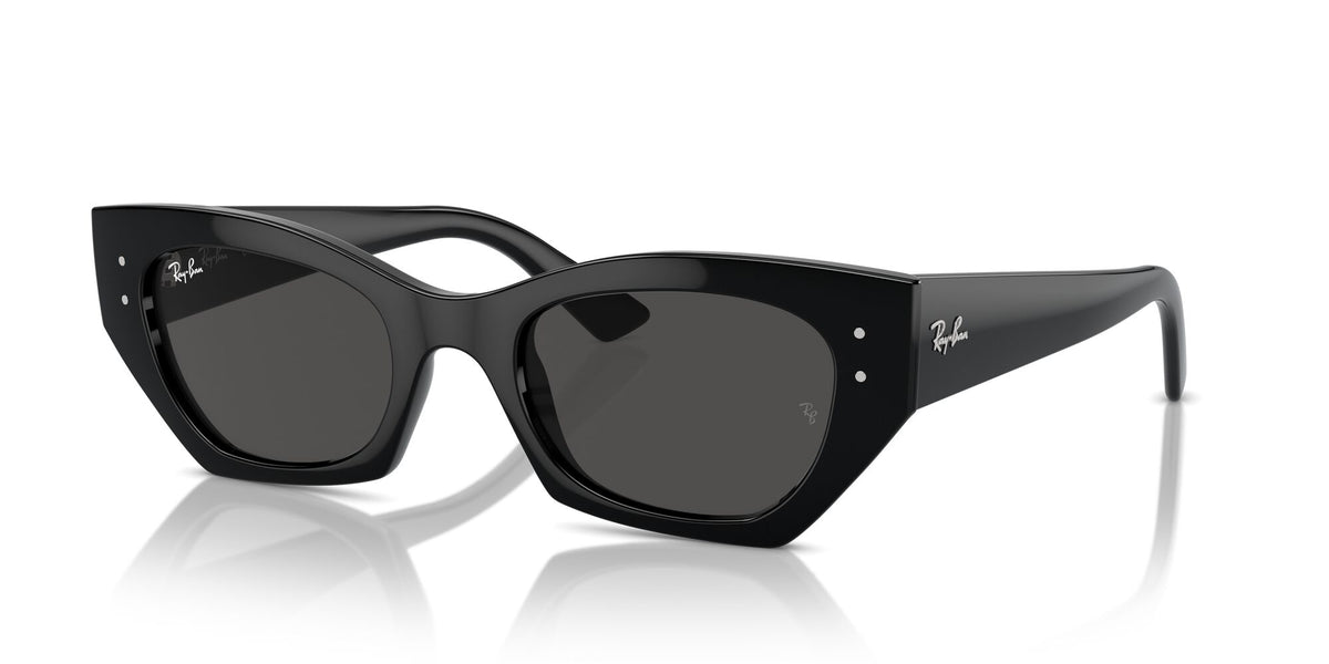 Ray-Ban Zena 0RB4430 667787 49 Black/ Dark Grey