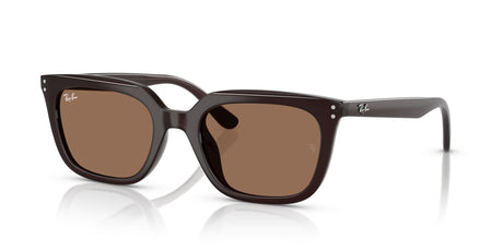 Ray-Ban  0RB4439D 623173 54 Opal Brown/ Dark Brown