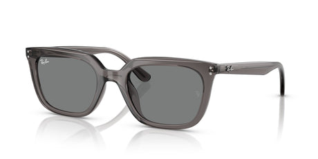 Ray-Ban  0RB4439D 667587 54 Transparent Grey/ Dark Grey