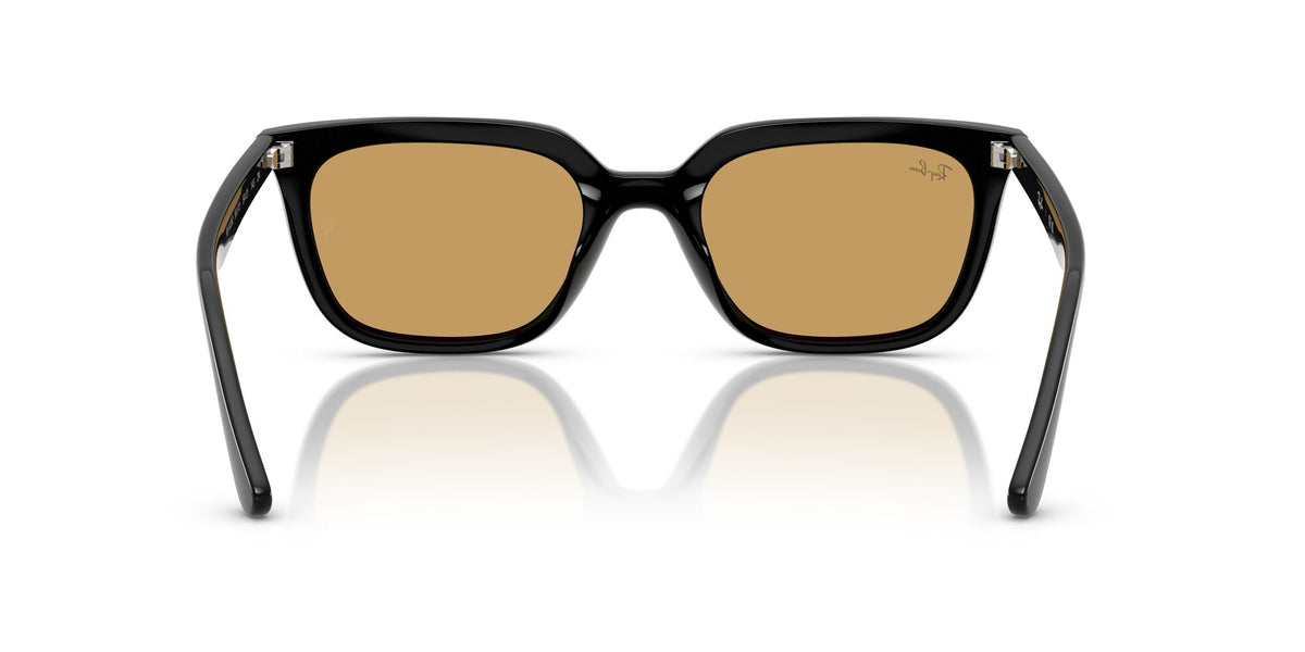 Ray Ban 0RB4439D 901/73 54 Black/ Ochre