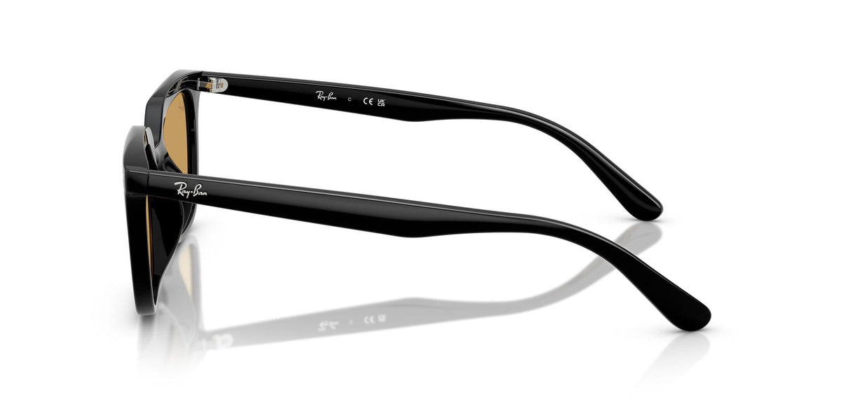 Ray Ban 0RB4439D 901/73 54 Black/ Ochre