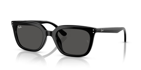 Ray-Ban  0RB4439D 901/87 54 Black/ Dark Grey
