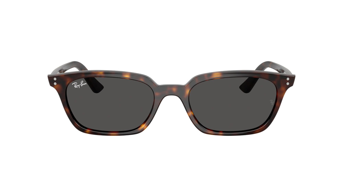 Ray-Ban Zaya RB4456 135987 50 Havana / Dark Grey