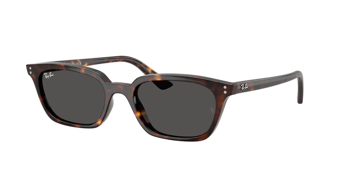 Ray-Ban Zaya RB4456 135987 50 Havana / Dark Grey