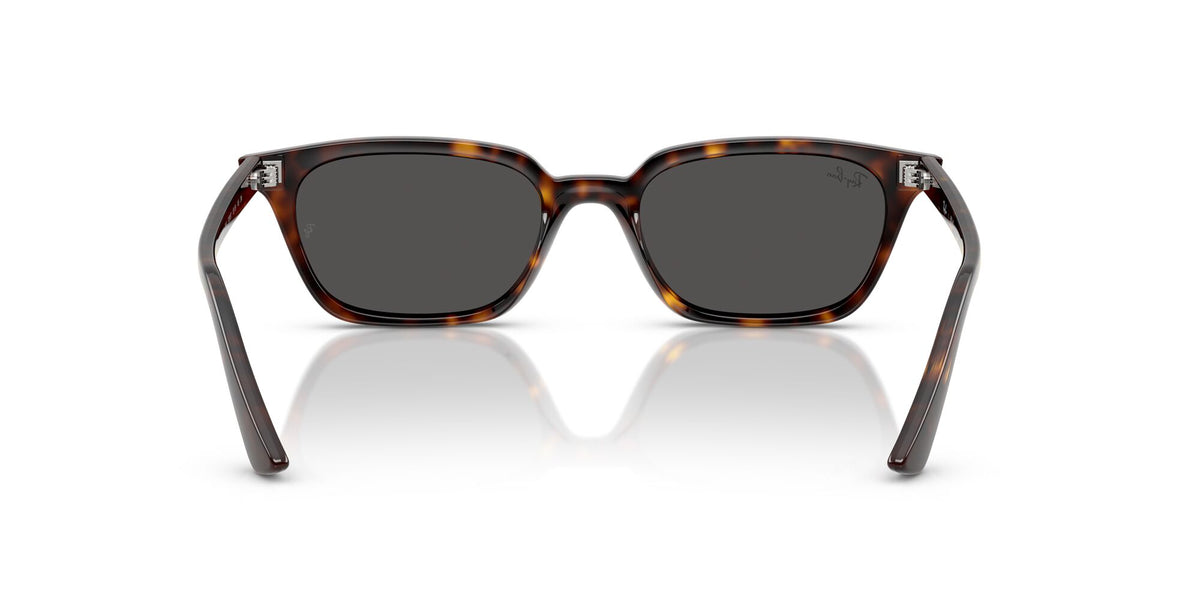 Ray-Ban Zaya RB4456 135987 50 Havana / Dark Grey