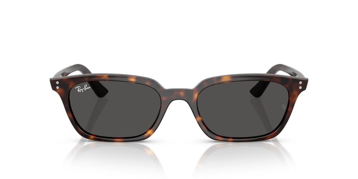 Ray-Ban Zaya RB4456 135987 50 Havana / Dark Grey