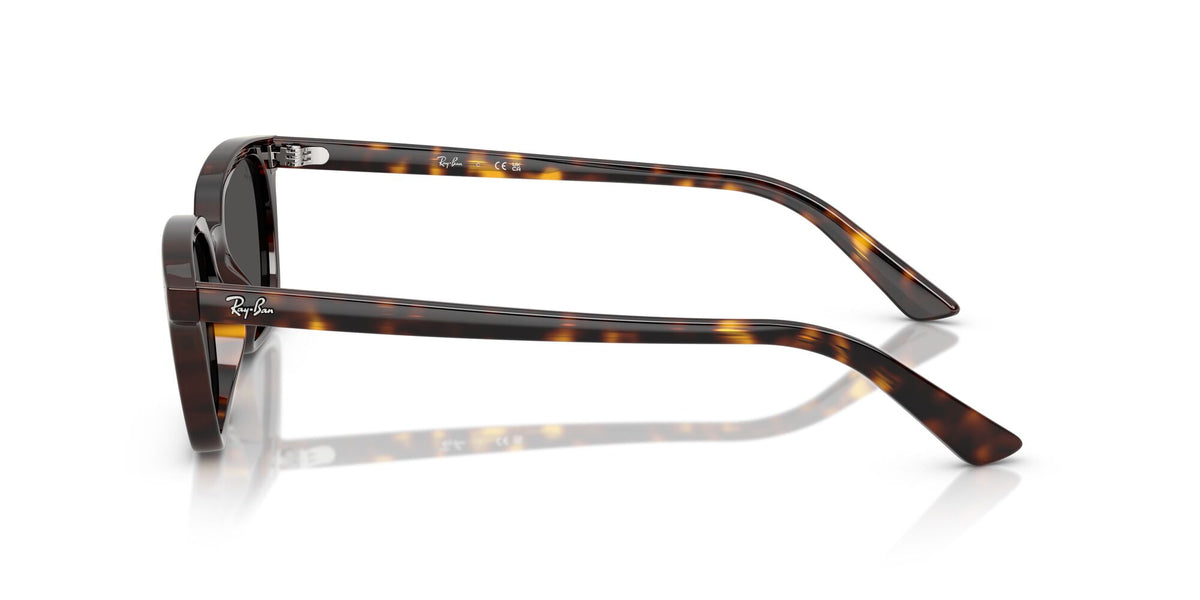 Ray-Ban Zaya RB4456 135987 50 Havana / Dark Grey