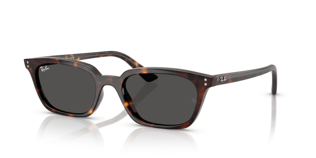 Ray-Ban Zaya RB4456 135987 53 Havana / Dark Grey