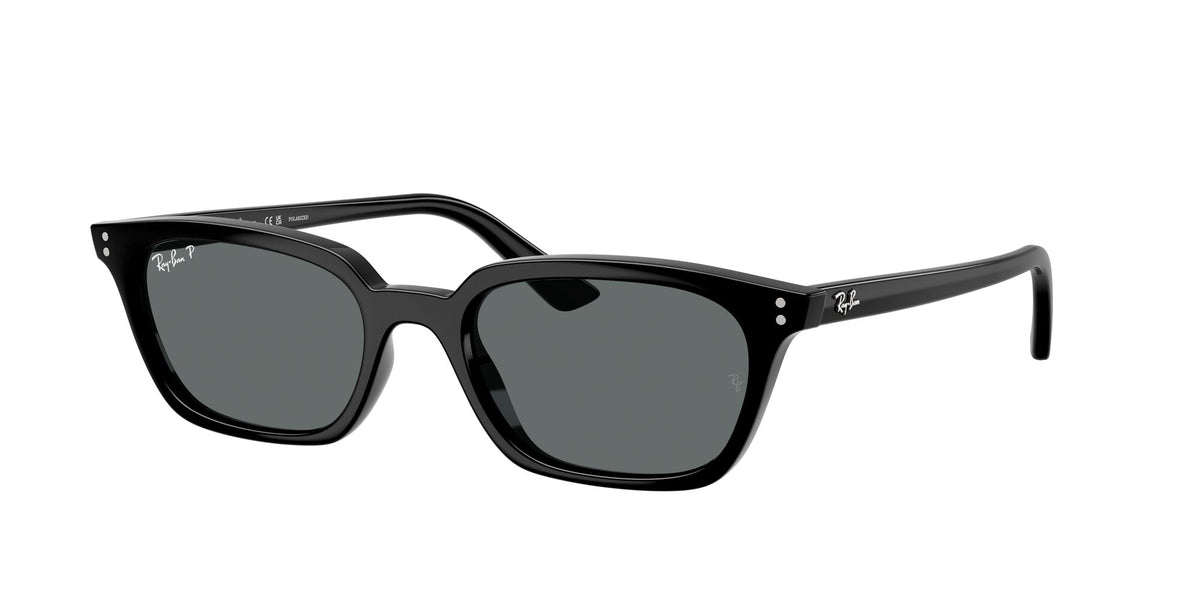 Ray-Ban Zaya RB4456 667781 50 Black / Dark Grey Polar